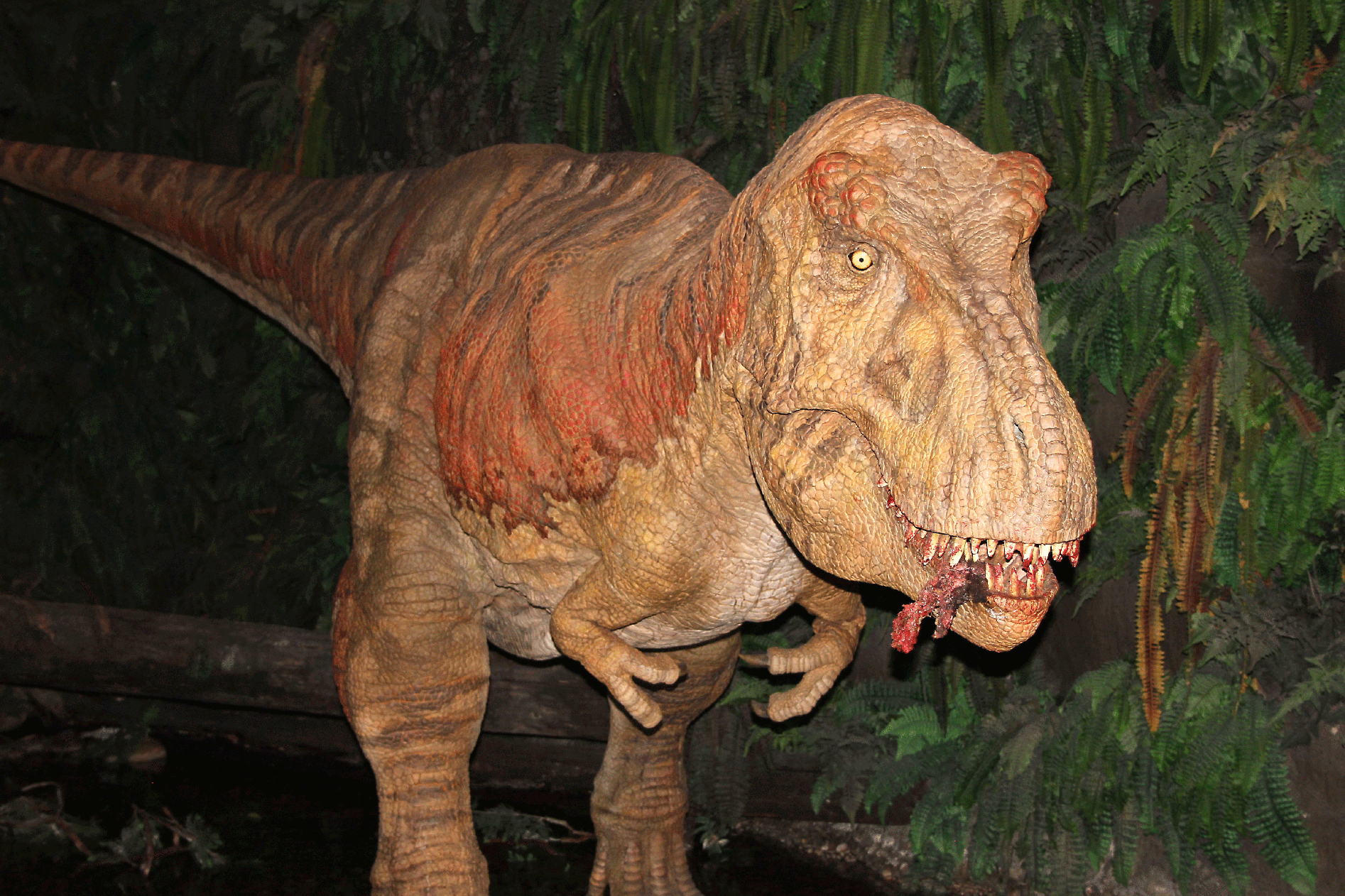 Tyrannosaurus Rex